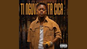 Gogo the pro - Swilo swa cica (feat. Metrobeats)