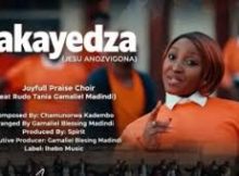 Joyfull Praise Choir ihebo - Takayedza (Jeso Anozvigona) (feat. Rudo Tania Gamaliel Madindi & Wilton Wila Vimbani)