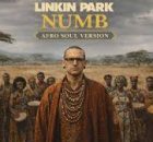 Linkin Park - Numb (Afro Soul Version)