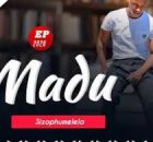 MADU - SIZOPHUMELELA (feat. nzuzo)