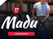 MADU - SIZOPHUMELELA (feat. nzuzo)
