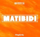 Mayoyo SA – Matibidi