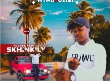 Mlamanisi – Amazwi kamkhulu