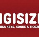 Musa Keys, Konke & Njelic - Ngisize