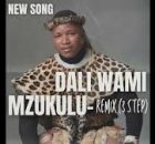 Mzukulu - Dali Wami Maskandi song