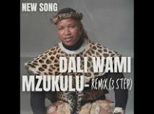 Mzukulu - Dali Wami Maskandi song