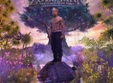 Nasty C – La Vida Loca