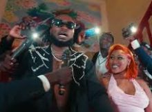 Nawe Thuli (Ubizwa i-Pikoko) – MR NDOU Extended