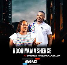 Ndoniyamashenge - Angazi (feat. Shenge WaseHlalankosi)