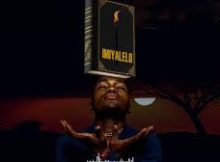 Nomndayi - Ukufa Visualizer