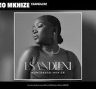 Nontokozo Mkhize - Esandleni [Jazzbee Pistoli Rework]