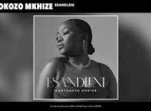 Nontokozo Mkhize - Esandleni [Jazzbee Pistoli Rework]