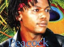 Nozukile – Nozukile