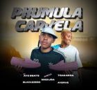 PHUMULA - CARVELA