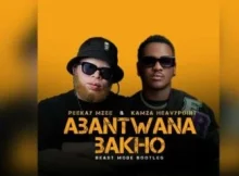 Peekay Mzee – Abantwana Bakho (Peekay Mzee & Kamza Heavypoint Beast Mode Bootleg)