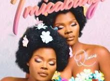 Album: Q Twins – Imicabango