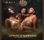 Qwabe Twins – Imali
