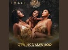 Qwabe Twins – Imali