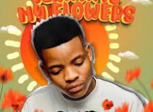 Roctonic SA – Wosh