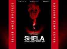 Sam Deep, Nia Pearl, Boohle - Shela (Peekay Mzee & Norbertkay Beast Mode Bootleg)