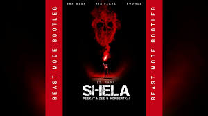 Sam Deep, Nia Pearl, Boohle - Shela (Peekay Mzee & Norbertkay Beast Mode Bootleg)