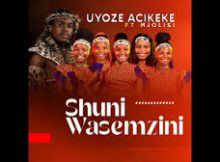 Shuni waseMzini - Uyoze Acikeke (feat. Mjolisi)