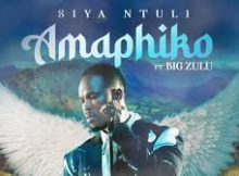 Siya Ntuli (Ft. Big Zulu) - Amaphiko
