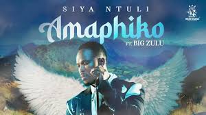 Siya Ntuli (Ft. Big Zulu) - Amaphiko