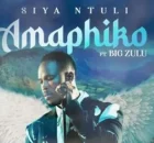Siya Ntuli – Amaphiko Ft. Big Zulu