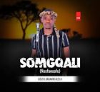Somgqali - Usizi Lukamahlalela (ft.Sphe Mkhize)