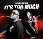 SoulLab & LadyChoc – It’s Too Much