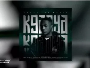 Steve Jay MusiQ – Zone 03