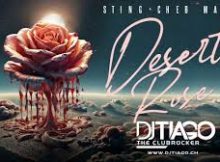 Sting - Desert Rose | Afro Soul Cover