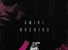 Tea White – Amiri Orchids