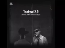 Teevibe_SA – Tsakani 2.0 Ft. South Plxya vocals
