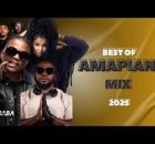Top 10 Amapiano Dj Mix 2025 & 2026 Mixtape Fakaza