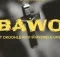 Virtousouls – Bawo ft Okoohle, Rico Suavemei & Umzi