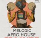 Zeeus Wav - Melodic Afro Groove