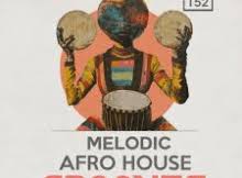 Zeeus Wav - Melodic Afro Groove