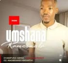 uMshana kaMcineka - Ngifuna Wena (feat. Qaphelani)