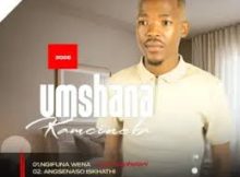 uMshana kaMcineka - Ngifuna Wena (feat. Qaphelani)