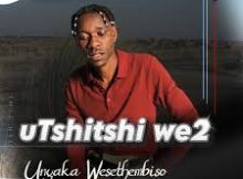 utshithi we2 – Impisi ft. Mbabazeni