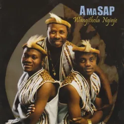 AmaSAP – Mr. DJ