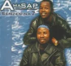 AmaSAP – Senzenina?