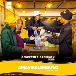 Amavikelambuso – Umsebenzi kithi