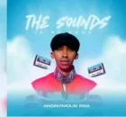 Anonymous RSA – The Sounds In My Head