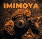 Baby Momo, SmileyKeys & Sims Makoya – Imimoya