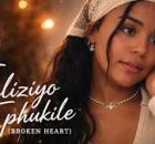 Big Nash – Inhliziyo Ephukile (Broken Heart) Soulful Amapiano x Saxophone Healing Anthem