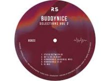 Buddynice - We’ll Be Alright