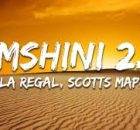 Dlala Regal, Scotts Maphuma – Umshini 2.0